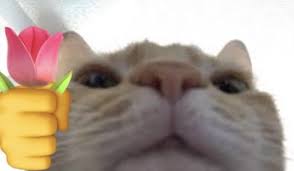 download - 2026-02-04T090715.814.jpeg